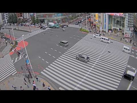 Tokyo Shinjuku Crossing thumbnail