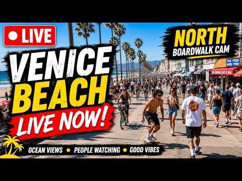 Venice Beach Boardwalk live poster