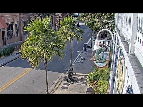 Duval Street Bagatelle live thumbnail