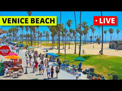 Venice Beach live poster
