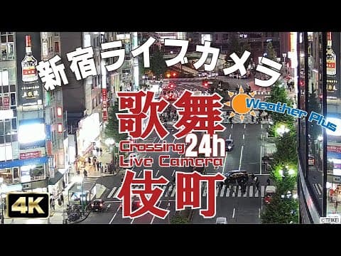 Shinjuku Kabukicho Crossing thumbnail