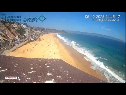 Renaca Beach live poster