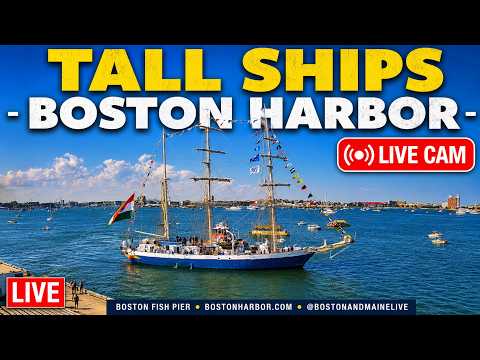 Boston Harbor live poster