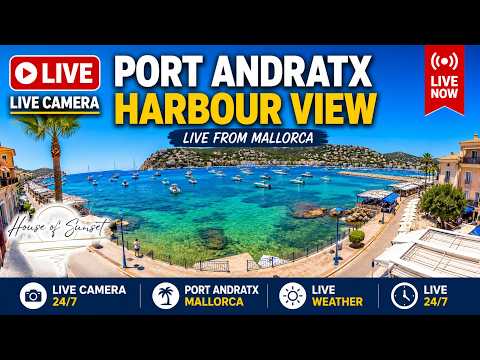 Port d'Andratx live thumbnail