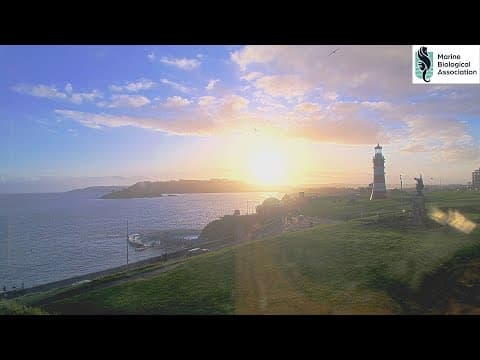 Plymouth Hoe live thumbnail