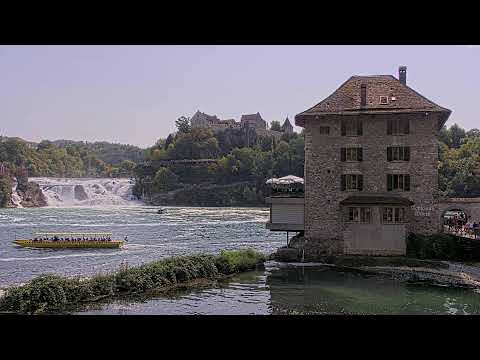 Rhine Falls live poster