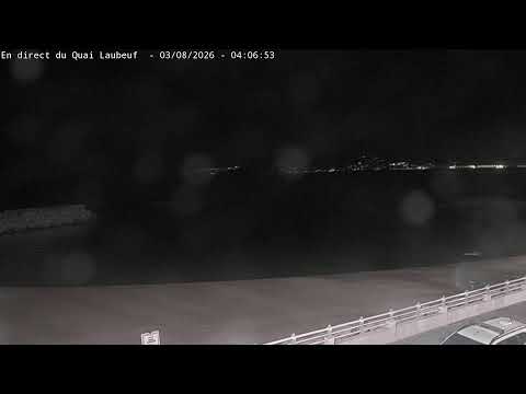 Cannes Old Port live thumbnail