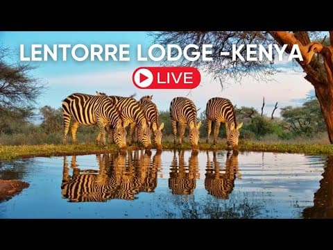 Lentorre, South Rift live thumbnail