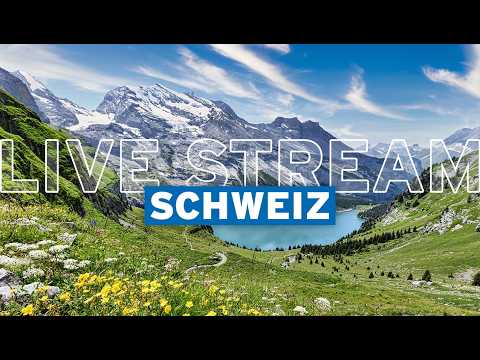 Swiss Alps Panorama live thumbnail