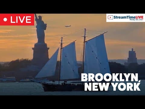 Red Hook - New York Harbor live poster