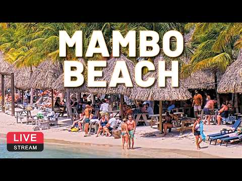 Mambo Beach live poster