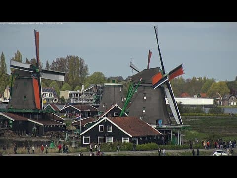 Zaanse Schans Windmills live thumbnail