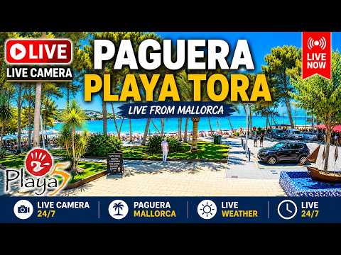 Peguera Beach live thumbnail