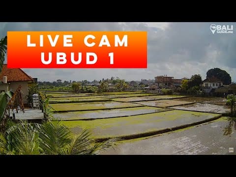 Ubud, Bali thumbnail