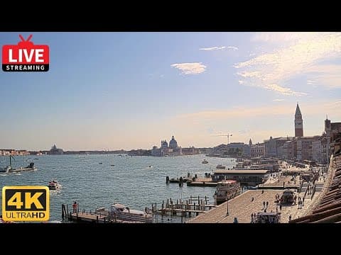 St Mark's Basin – Riva degli Schiavoni live thumbnail