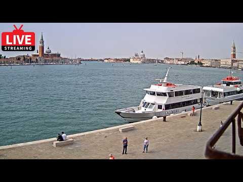 St Mark's Basin live thumbnail