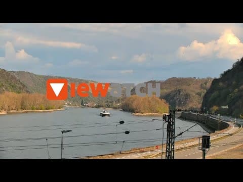 Rhine Valley live poster