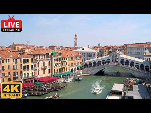 Rialto Bridge live poster