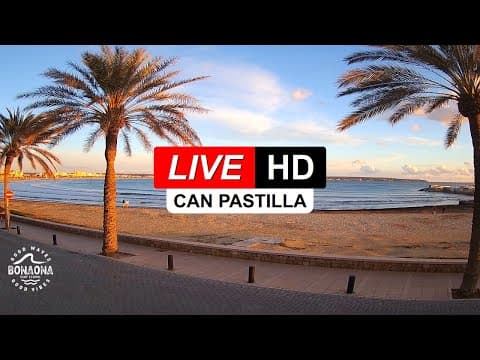 Can Pastilla live thumbnail