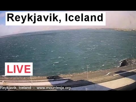 Reykjavik live poster