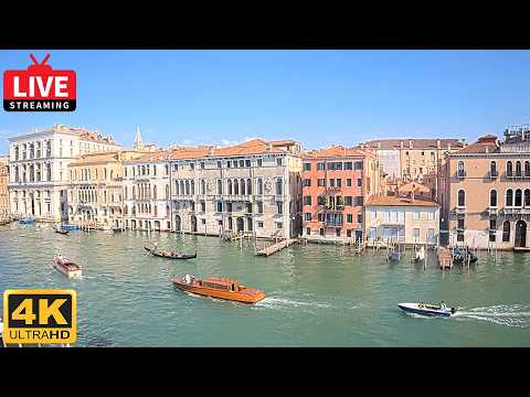 Grand Canal live thumbnail